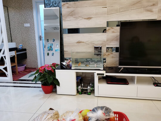 鱼缸清洁盐
