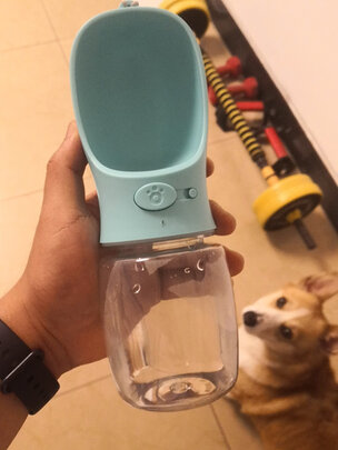 宠物水壶