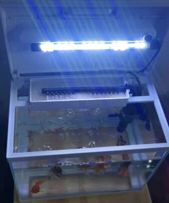 桌面鱼缸
