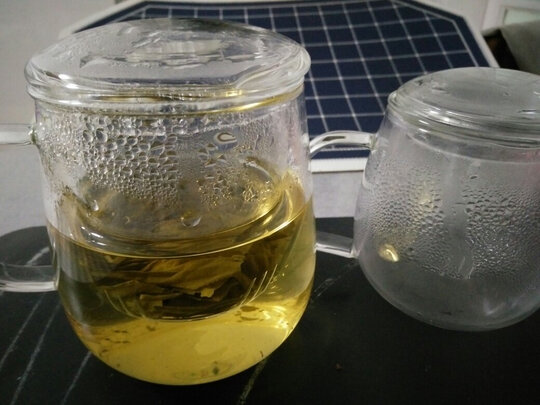 玻璃泡茶杯
