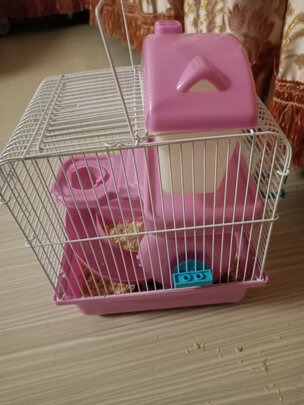 仓鼠水壶
