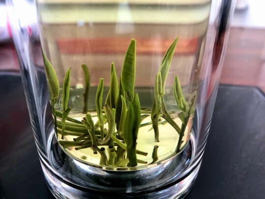 云雾绿茶