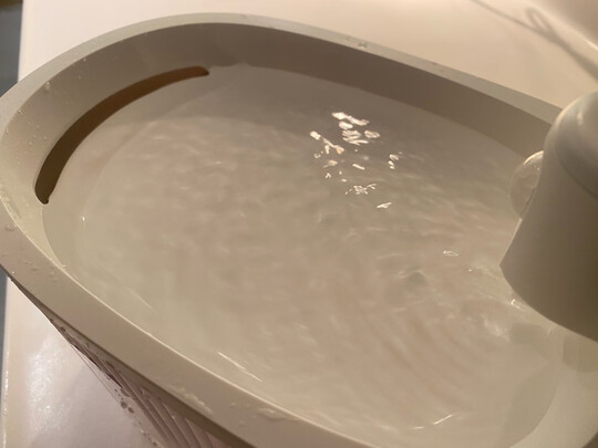 宠物饮水机