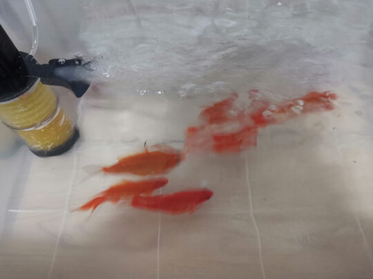 鱼缸水泵