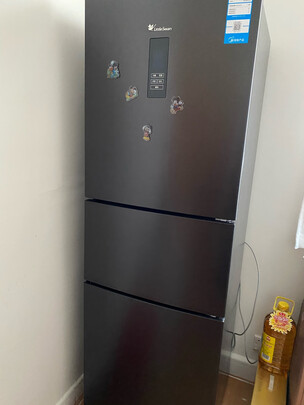 冰箱|小天鹅BCD-255WTPZL(E)冰箱到底怎么样，参数如何！