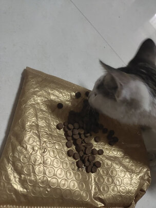 猫粮