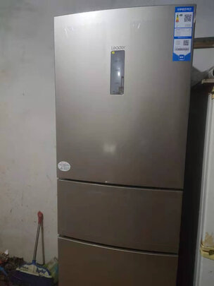 冰箱|客观评价统帅BCD-218WLDPPU1冰箱怎么样?上手三周说真相