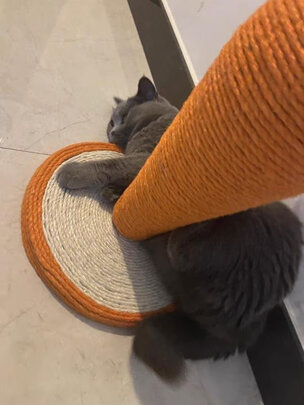 猫爬架