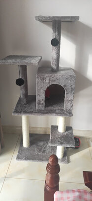 猫爬架