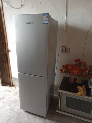 新飞BCD-190WL2D电冰箱|客观评价新飞BCD-190WL2D电冰箱怎么样？上手三周说真相