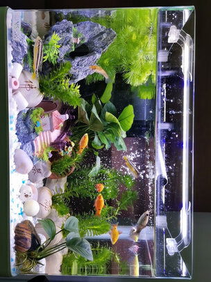 鱼缸灯led灯