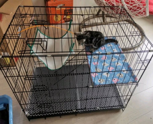  猫笼