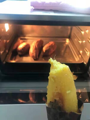 九阳ZK05蒸烤箱|九阳ZK05蒸烤箱如何,值得入手的原因分享！