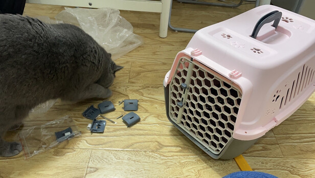 猫包
