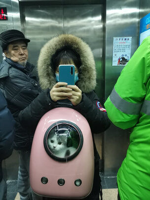 宠物包