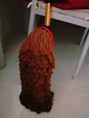 车用掸子