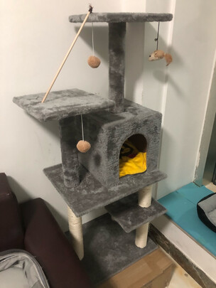 猫爬架