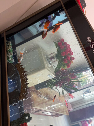 鱼缸换水器