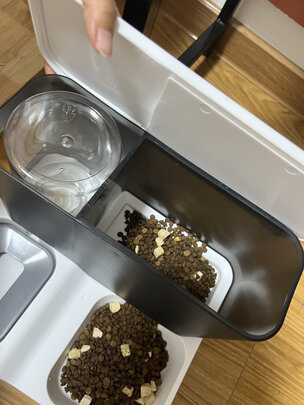 宠物饮水机