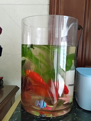 鱼缸净水剂