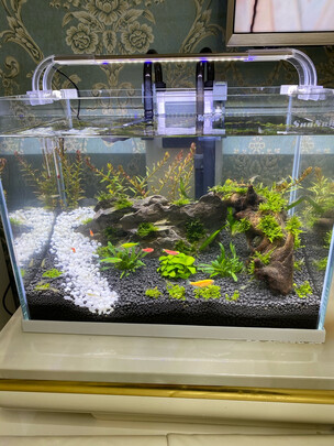 鱼缸灯led灯