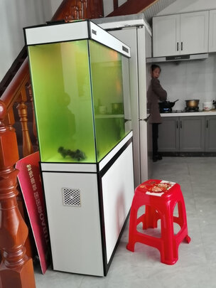 智能鱼缸