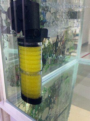鱼缸潜水泵