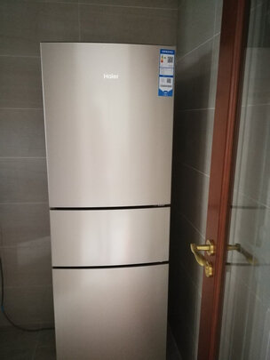 冰箱|用户揭秘海尔BCD-216WMPT冰箱好吗,入手解密评测真相