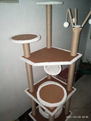 猫爬架