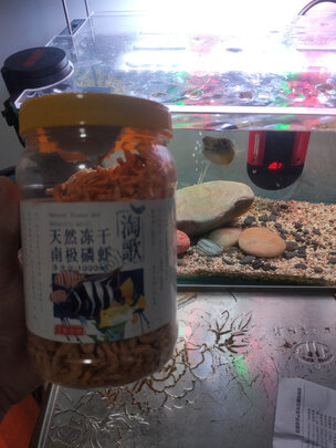 鱼粮