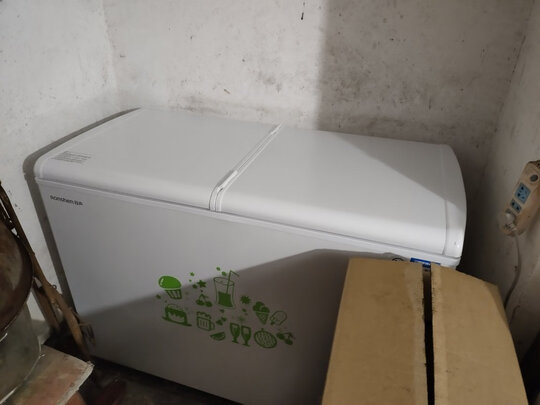 容声（Ronshen） 273升大容量蝶形门冰柜家用冷藏冷冻双温冷柜 侧掀门实用双温柜 4DS速冷系统BCD-273KB
