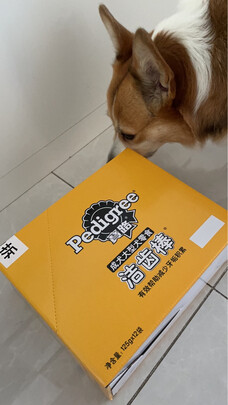 狗狗磨牙棒