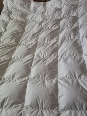 京东京造95抗菌鹅绒被 1.8m 1700g一个月后开始后悔了诉说原因