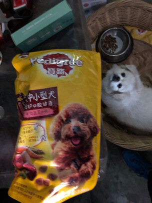 狗粮