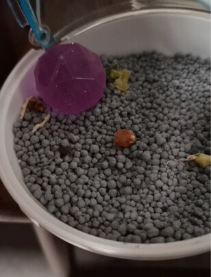 仓鼠浴沙