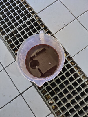 变速箱油