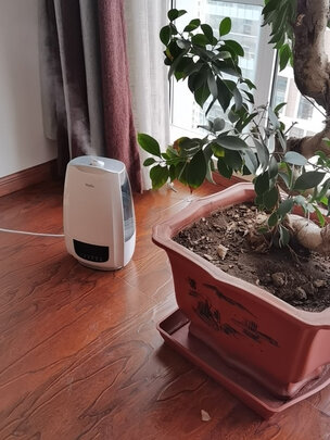 求测评亚都sc260mk060怎么样评测结果好吗亚都建设张元锋怎么样值得买