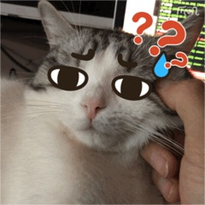 猫咪手术服