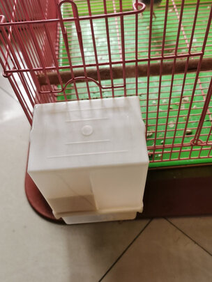 自动喂食器