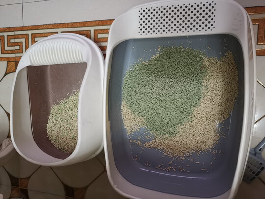 猫砂盆