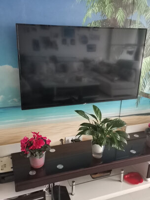 TCL55L8电视|TCL55L8电视怎么样上手一周说讲感受