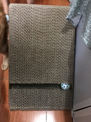 猫抓板