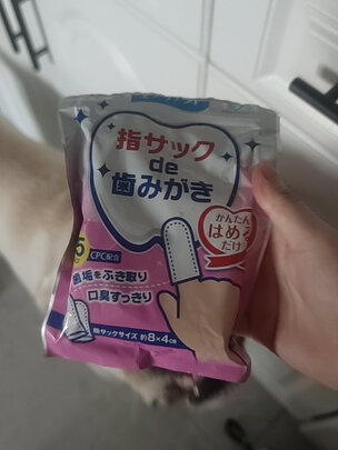 宠物湿巾