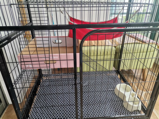 猫笼