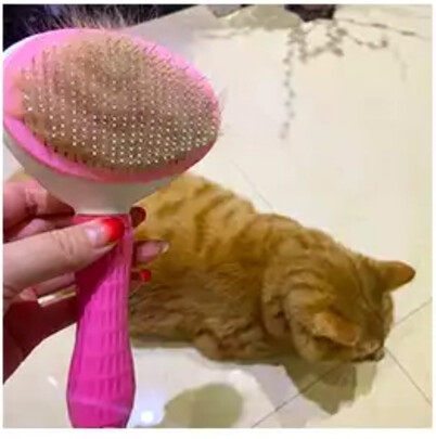 猫狗梳子