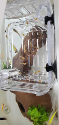 鱼缸换水器