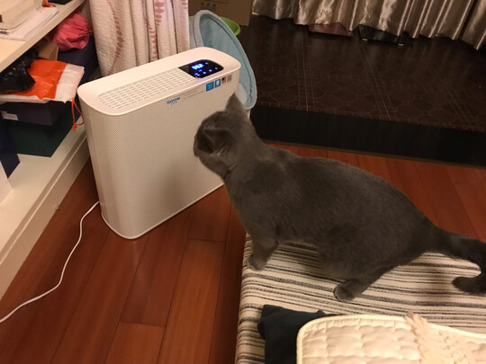 吉若奥Ginnoair|消费者诉说吉若奥Ginnoair KJ420F怎么样?说一说体验真相？