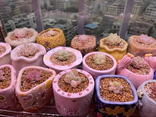 植物生长灯