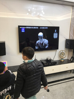 威斯汀(WESTDING)Q7点歌机ktv音响套装 家庭影院音响组合专业卡拉ok唱歌设备 12英寸双系统影K