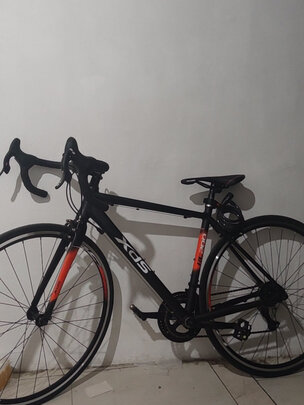 三,喜德盛(xds)rx200公路自行车网友对比评测